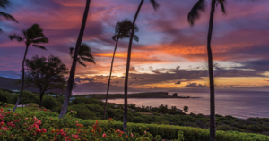 Tropical places in the us Lanai, Hawaii McClatchy