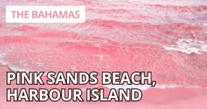 Pink Sands Beach, Harbour Island, The Bahamas-Best Beaches in the World - MiamiHerald
