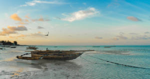 Zanzibar- Tropical Places to Visit- MiamiHerald