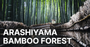 Arashiyama Bamboo Forest, Japan exotic places to travel Miami Herald