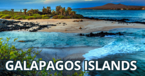 Galapagos Islands best island vacation startelegram