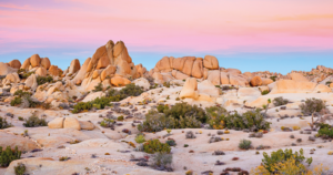 Joshua Tree National Park, California, 8669ffxb9,best winter vacations in the US